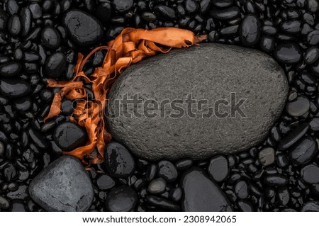 A tranquil beach scene of orange seaweed and pebbles with a rocky shoreline, set against the background of an untouched coastal soil.
