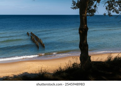 Tranquil beach scene with sandy shore, gentle waves, and a solitary tree. Aged wooden posts and calm blue ocean create a serene atmosphere. Perfect for relaxation and coastal beauty concepts. - Powered by Shutterstock