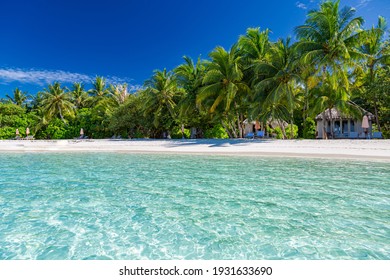 Tranquil beach scene. Sunny exotic tropical beach landscape for background or wallpaper. Design of summer vacation holiday concept. Luxury travel destination idyllic nature scenery with palm tree leaf