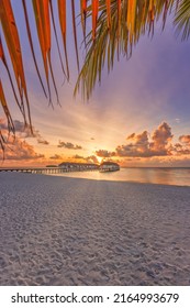 Tranquil beach sunset in Maldives. Paradise beach island, background for summer travel and vacation coast landscape. Tropical palm leaves sea sky horizon over sand. Amazing tropical nature pattern