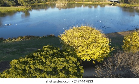 The tranquil beauty of Jack Roper Reserve in Broadmeadows, Melbourne. A mesmerizing aerial view captures sunlit trees, serene lake, and vibrant wildlife, offering a peaceful escape into nature - Powered by Shutterstock