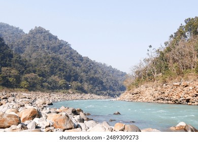 A tranquil body of water with a rocky shoreline surrounded by lush forestry - Powered by Shutterstock