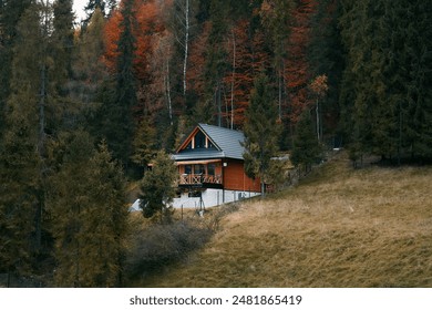 Tranquil Cabin Life Amongst Autumn Trees - Powered by Shutterstock