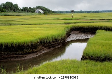 Tranquil Cape Cod Coastal Scene In New England. View Of Protected Saltwater March And Distant Osprey Bird Nest Near Grays Beach In Yarmouth Port, Massachusetts.