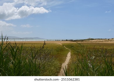 Tranquil coastal landscape with a winding path leading to the sea, surrounded by grass and dunes under a blue sky. Perfect for travel, nature, and relaxation themes. Sicily, Italy. Agrigento - Powered by Shutterstock