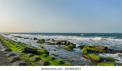 Tranquil coastal seascape with moss covered tetrapods and rocks against waves, clear blue sky, ideal for backgrounds and travel related designs, with copyspace - Powered by Shutterstock