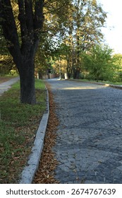 A tranquil cobblestone path meanders through a quiet park, adorned with fallen leaves and bordered by lush trees in an autumn scene set during late afternoon.