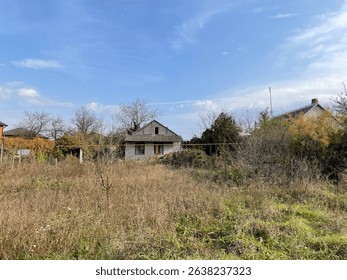 Tranquil countryside scene with wild grass and a rustic house, evoking a sense of peace and connection to nature. Perfect for showcasing rural landscapes and serenity.