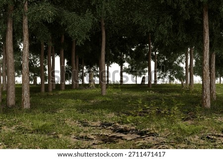 A tranquil, dense forest scene featuring numerous tall trees with green leaves and brown trunks. The forest floor is covered in patchy grass and dark, wet earth