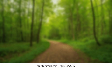 A tranquil dirt path winds through a lush green forest, sunlight filtering through the dense canopy above.