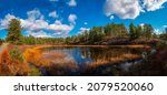Tranquil dramatic autumn landscape with the view of pond, pine tree forest, dried aqua plants, and cumulous clouds in the blue sky. Beautiful recreational park in Myles Standish State Forest in Massac