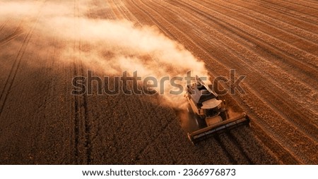 In the tranquil embrace of the evening, a colossal combine harvester methodically collects nature's bounty, while the dust it stirs adds an ethereal quality to the scene