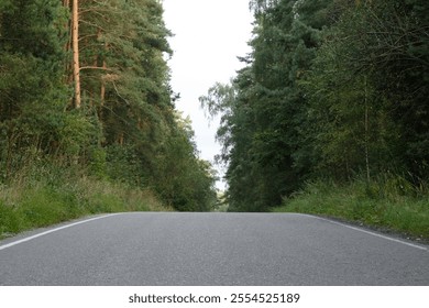 A tranquil empty road winding through dense greenery, flanked by tall trees on both sides, creating a serene natural atmosphere in the forest.