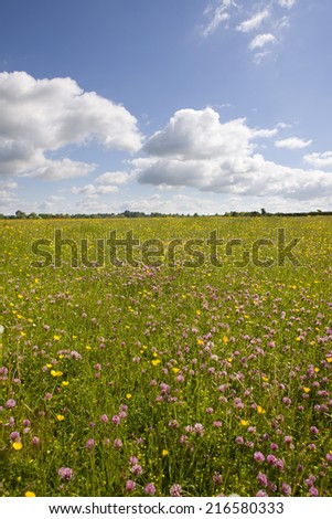 Similar – Image, Stock Photo Landscape with meadows, fields and trees in morning sun and fog