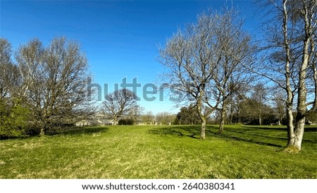 A tranquil field framed by bare trees under a blue sky. Shadows stretch across the grass, highlighting the contrast between the open expanse and the tree line near, Lane Side, Queensbury, UK.
