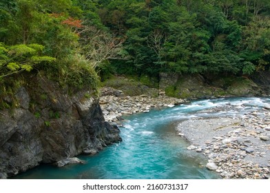 Tranquil Forest And Crooked Stream Waterfall Nature Scenery