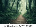 Tranquil forest path leads to mysterious adventure