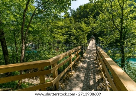 Tranquil forest path winds through lush greenery toward the ethereal Kozjak waterfall, evoking peace and adventure in Slovenias Triglav National Park