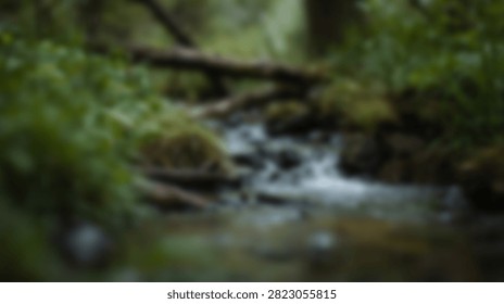 A tranquil forest scene with a clear stream meandering through dense green foliage and fallen logs, creating a peaceful natural environment.
