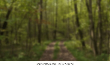 A tranquil forest scene with a dirt path leading through lush green foliage and tall trees, creating a sense of natural beauty and serenity.