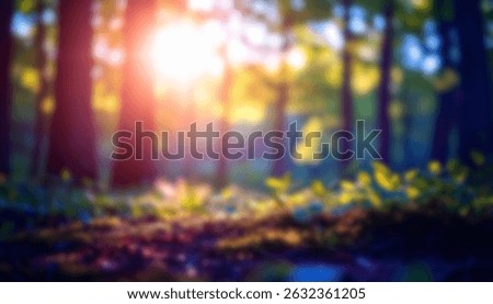 Tranquil forest scene with soft sunlight filtering through the trees