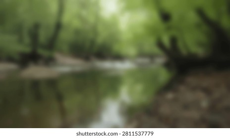 A tranquil forest stream flows gently, its surface mirroring the vibrant green foliage and sunlight filtering through the trees.