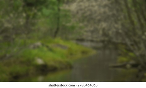 A tranquil forest stream flows through lush green vegetation. The image captures the natural beauty of the forest, with water and greenery creating a serene and peaceful atmosphere.