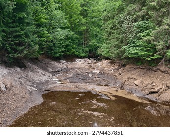 A tranquil forest stream flows through a rocky, mossy riverbed. Sunlight filters through dense foliage, revealing clear shallow water, mossy banks