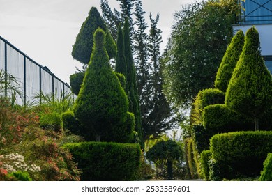 A tranquil garden reveals vibrant topiary sculptures shaped like geometric forms, surrounded by healthy shrubs and the warm glow of afternoon sunlight. - Powered by Shutterstock