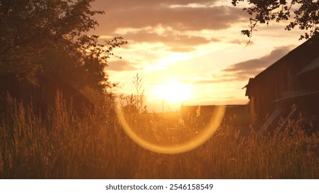 Tranquil grass field with rustic barn silhouettes under a golden sunset - Powered by Shutterstock