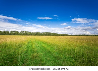 A tranquil green meadow stretches toward a distant forest, framed by a brilliant blue sky adorned with fluffy white clouds, capturing the essence of a peaceful summer day. - Powered by Shutterstock