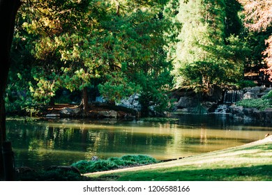 Tranquil Japanese Gardens With Pond In Ipswich Queensland