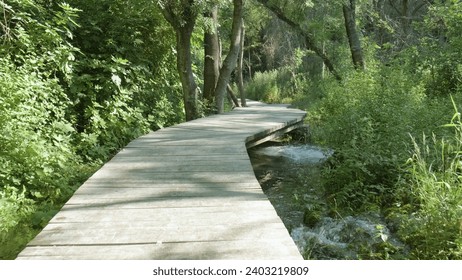 A tranquil journey through the lush greenery of a state park, following a wooden boardwalk over a peaceful stream and admiring the towering trees and vibrant plants along the way