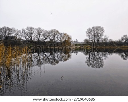 Tranquil lake with mirror-like reflections of leafless trees and cloudy sky, bordered by reeds and distant houses. Peaceful winter landscape with natural symmetry.
