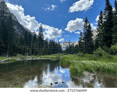 Tranquil lake with reflection of trees and sky