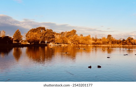 A tranquil lake scene in New Zealand at sunset, with golden light illuminating trees along the shoreline. Ducks float peacefully on the calm water, reflecting the warm evening sky. - Powered by Shutterstock