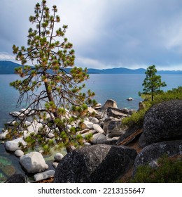 Tranquil Lake Tahoe With Pine Trees Growing Over Glacial Rocks And Boulders In Sand Harbor In Nevada