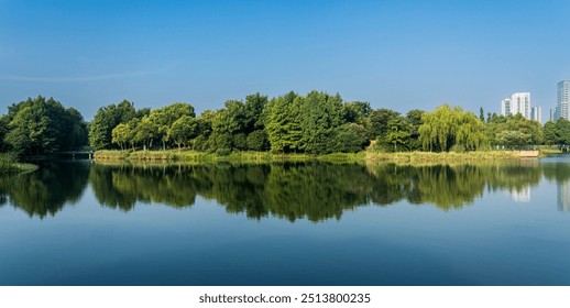 Tranquil Lakeside Reflection with Lush Greenery and Urban Backdrop