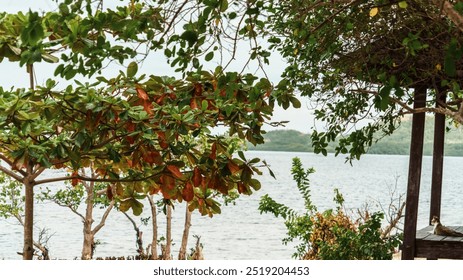 A tranquil lakeside scene with lush green foliage and vibrant red leaves. A peaceful cat rests under a wooden shelter, surrounded by natural beauty and calm water. - Powered by Shutterstock