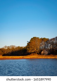 Tranquil Landscape Of Cranberry Bog On Cape Cod