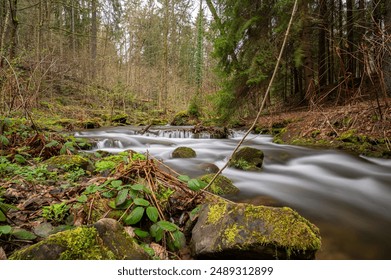 A tranquil landscape featuring a lush green forest with a majestic waterfall cascading over the rocks in the center - Powered by Shutterstock