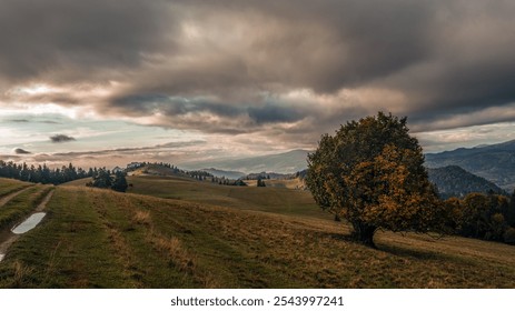 A tranquil landscape featuring a solitary tree on a hill under a dramatic sky. Perfect for illustrating nature's beauty and calmness. Ideal for themes about tranquility, solitude, and the outdoors. - Powered by Shutterstock