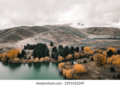 tranquil landscape with numerous small mountains near the tranquil lake with a few trees with the leaves of different colors under a gray cloudy sky, mount cook, new zealand