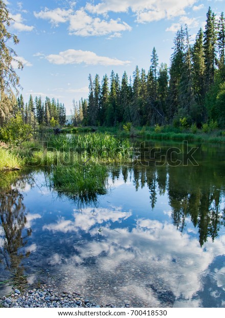 Tranquil Late Afternoon Trailhead Hiking Trail Stock Photo Edit