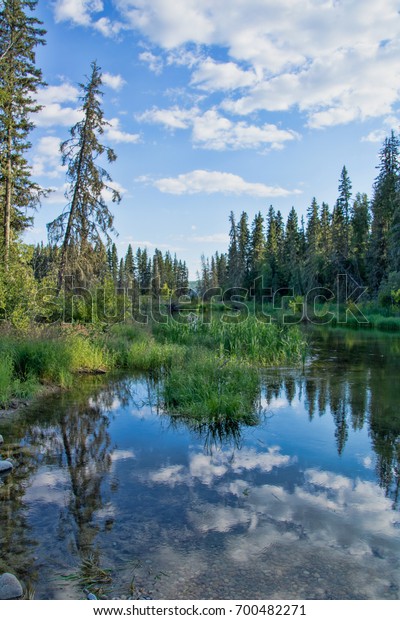 Tranquil Late Afternoon Trailhead Hiking Trail Royalty Free