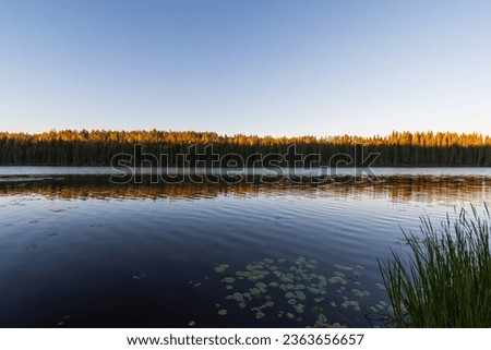 Tranquil morning sunrise over Andy Bailey Lake, British Columbia, BC Canada
