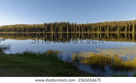 Tranquil morning sunrise over Andy Bailey Lake, British Columbia, BC Canada