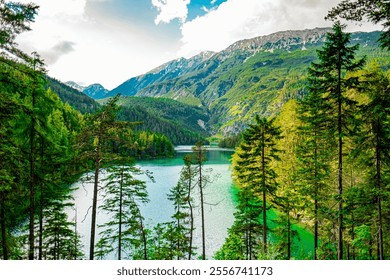 A tranquil mountain lake is surrounded by lush green forest, with tall trees and snow-capped peaks under a clear blue sky, creating an idyllic natural landscape and serene atmosphere. - Powered by Shutterstock