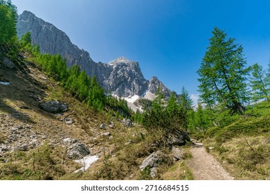 A tranquil mountain path winds through lush forests and rugged peaks, evoking peace and adventure in Slovenias breathtaking Triglav National Park