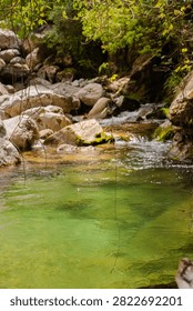 A tranquil mountain stream with crystal clear green water flowing over smooth rocks in a lush forest landscape.